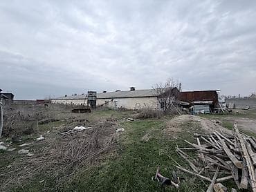 контейнер 20 т: Птицеферма, 100 соток, Действующий, Частично с оборудованием, Электричество, Канализация — 1