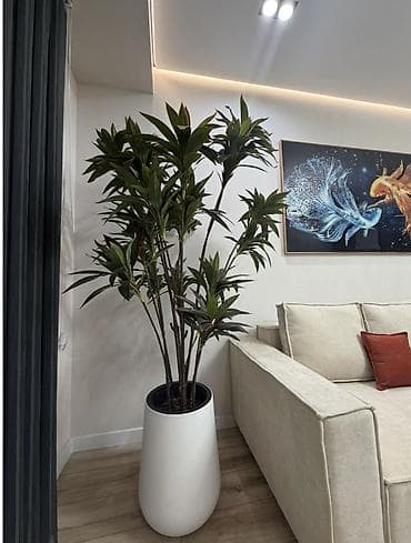 2комнаты: 2 комнаты, 60 м², Элитка, 14 этаж, Дизайнерский ремонт — 4