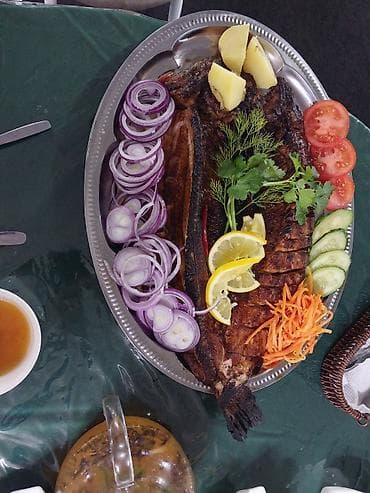 сколько стоит копчёная скумбрия: Форель радужная живая рыба - Вид: форель радужная. - Форматы — 6