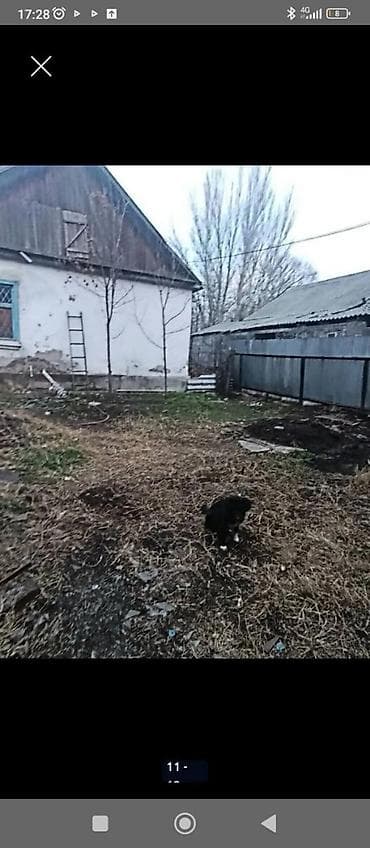 4 участок: 4 соток, Для строительства, Красная книга, Тех паспорт — 1