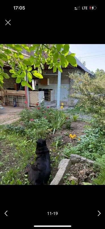 куплю дом нижняя ала арча: 5 соток, Красная книга, Тех паспорт, Договор купли-продажи — 9