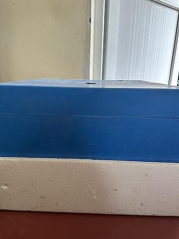 инкуб: Инкубатор для яиц, пластиковый, горизонтальный - Вместимость: лоток с — 3