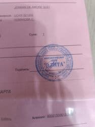 купить собаку породистую: Вязка: Шпиц, Самец, 2 года, С родословной — 4