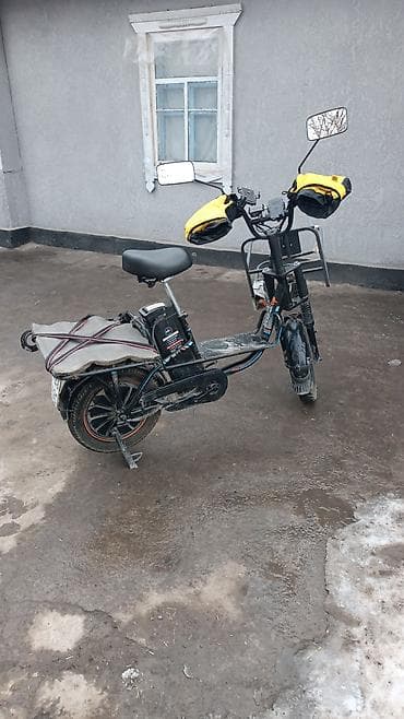 Спорт жана хобби: Электрдик велосипеддер — 1