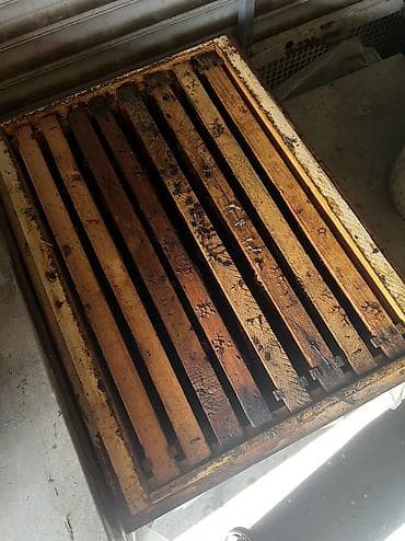 Өндүрүш үчүн жабдуулар: Продаю пчелиные рамки Рута. Есть как сушь, так и немного медовых (мёда — 4