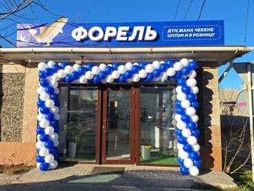 гелевые шары: Гелиевые шары Арка из шаров Фотозона Лучшее качество 💯 Лучшая цена — 25