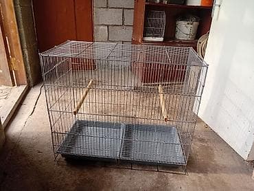 кекилик алам: Сетка для птиц попугай амадин 2500 70/60/36 — 5