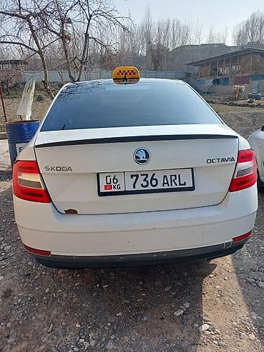 bmw m5 e34: Skoda Octavia: 2017 г., 1.6 л, Автомат, Бензин — 8