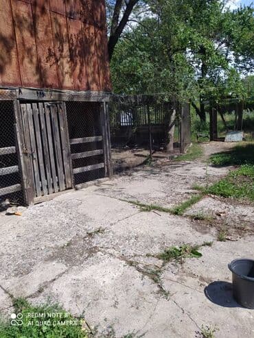 дома в беловодском: Дом, 55 м², 4 комнаты, Собственник — 10