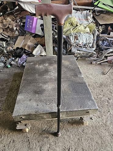 Корректоры осанки: Трость — 3