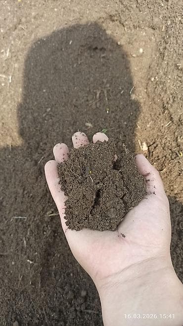 лес материалы: Щебень, Для дороги — 10