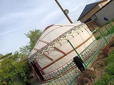 Юрта кыргыз Боз уй сатылат 6 канат 85 баш абалы жакшы баасы 250 000мин — 2