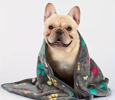 Үй жаныбарлары: Мягкий плед для домашних животных - Материал: плюшевый флис, приятный — 2