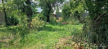 green land: 12 соток, Красная книга — 8
