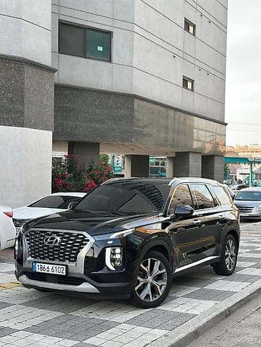 range river: Hyundai Palisade: 2020 г., 2.2 л, Автомат, Дизель, Внедорожник — 1