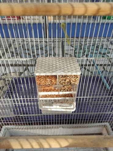 гнёзда: Гнёзда для птиц! — 4