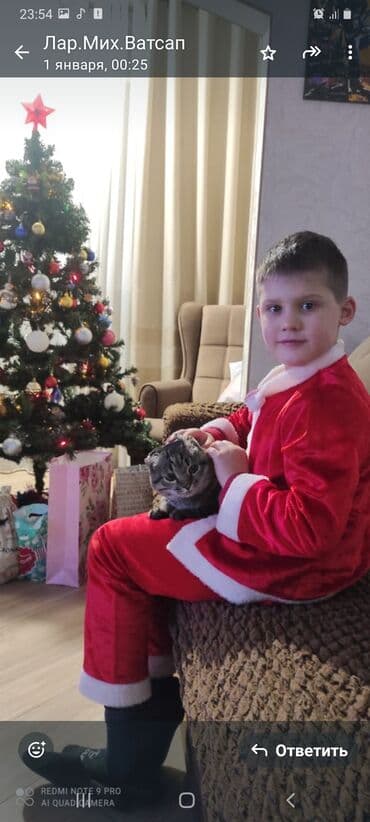 бишкек манеж детский дордой: Пират, Котик, Попугай, Огурец, Санта. С. Ленинское около школы — 3