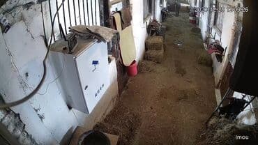 ip камеры 1.2 мп wi fi камеры: Wi-Fi камера с Сигнализацией! С детектором движения на людей с — 8