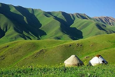 Срочно кой кайтаргыны койчу керек срочно срочно чалгыла только