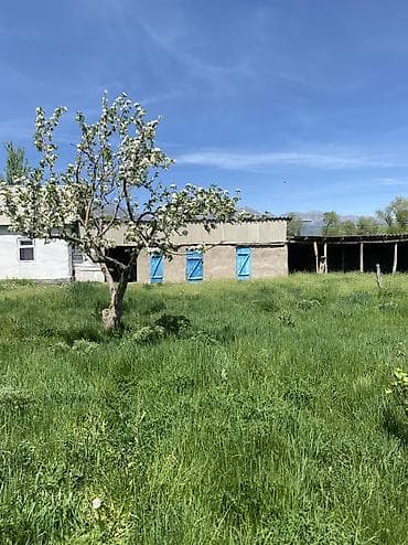 коммерческое помещение бишкек аренда: Продаётся просторный и светлый дом, расположенный в тихом и спокойном — 4
