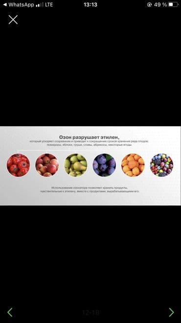 нейтрализатор запаха: Устранение запаха в салоне авто, помещений
Быстро и качественно — 6