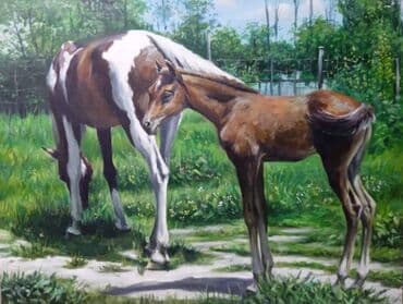 красивые картины: Больше 6 лет опыта — 10