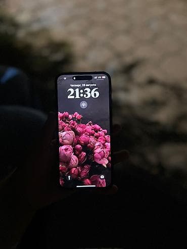 хs max: IPhone 14 Pro Max, Б/у, 256 ГБ, Черный, Чехол, 92 % — 3