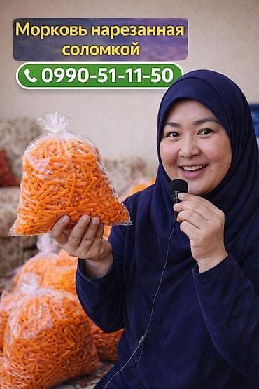 мясо цена бишкек сегодня: Морковь В розницу — 2