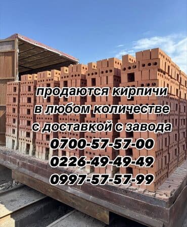сетка от птиц: Пустотелый, дырчатый, Жженый кирпич, Полублок, 250×120×90 — 3