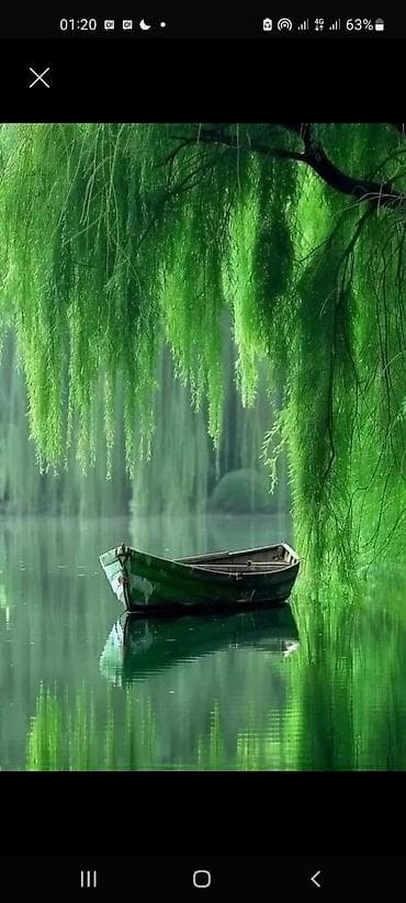 не нужное: 17 м², С мебелью — 1