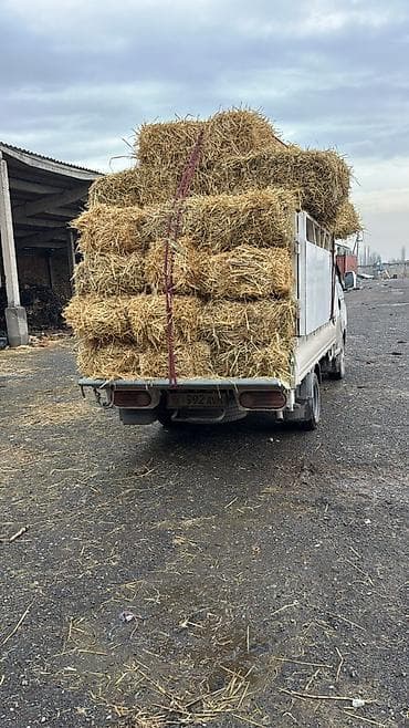 Солома в тюках - Прессованные прямоугольные тюки, удобно складировать