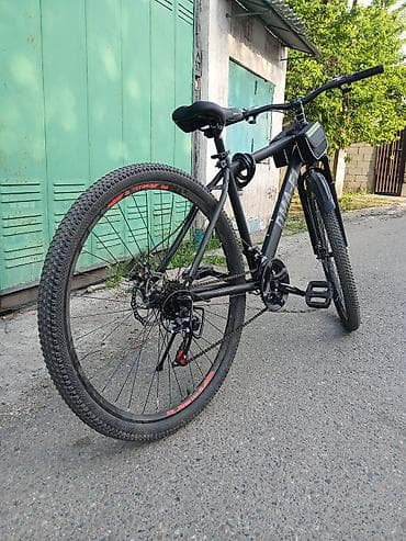 zimmer e9 pro: Городской велосипед, Рама XL (180 - 195 см) — 2