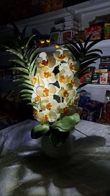 tech flis: Орхидея 
Орхидея светильник 
Цветы Бишкек
Светильник 
Ручнаяработа — 5