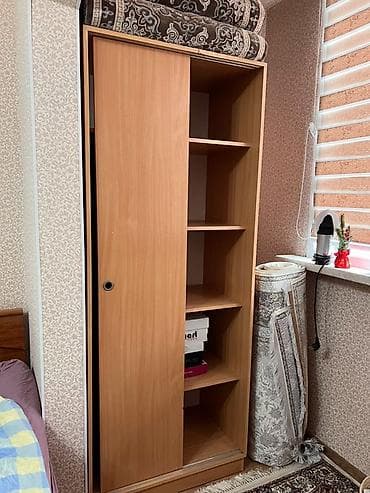 zone 51: Шкаф-купе из ЛДСП под дерево (теплый светло-коричневый оттенок). - — 2