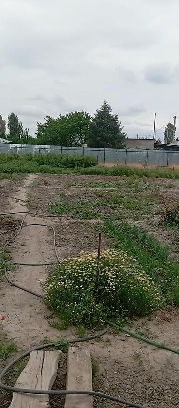 жаны уйлор: Продается жилой кирпичный дом 72 м.кв. на участке 15 соток по — 5