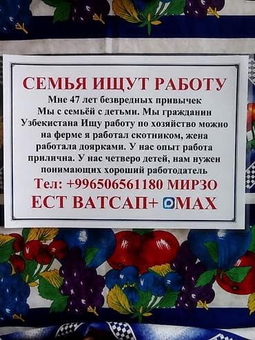 узбекистана: СЕМЬЯ ИЩЕТ РАБОТУ Мне 47 лет, без вредных привычек. Мы с семьёй, с — 2