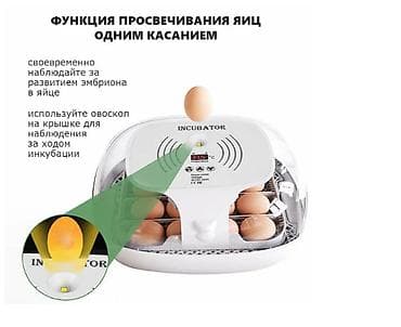 инкубационные яица: Инкубатор на 16 яиц #Инкубатор #БизнесИнкубатор — 2