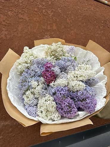 Букет из сирени дешево по 20 800 1000 БЫСТРО И ДЕШЕВО ПИШИТЕ ЗВОНИТЕ