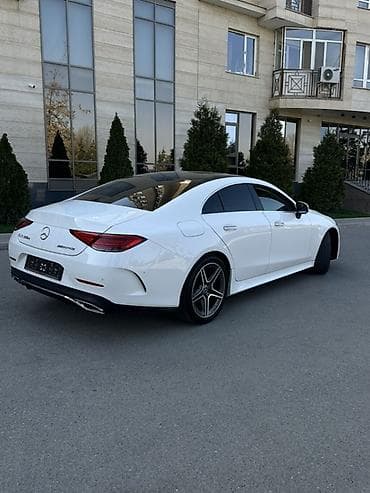 sl 55: Mercedes-Benz CLS-Class: 2019 г., 2 л, Автомат, Дизель, Седан — 3