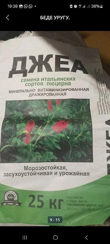 тополь саженцы: Семена люцерны сорта Багира, упакованные в мешок весом 25 кг. Этот — 2