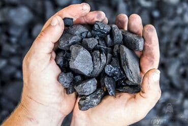 купить металлоискатель в бишкеке цена: Coal briquettes — 3