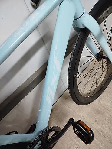 Трековый/фикс-байк в стиле single-speed - Рама и вилка: жёсткая