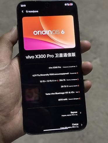телефоне: Vivo X300 Pro, Б/у, 256 ГБ, цвет - Серый, 1 SIM — 2