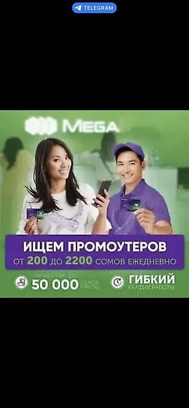 ош жапалак: Талап кылынат Проумотер, Тажрыйбасыз, Кошумча акча табуу, Иш тартиби: Ийкемдүү график, Окутуу — 1