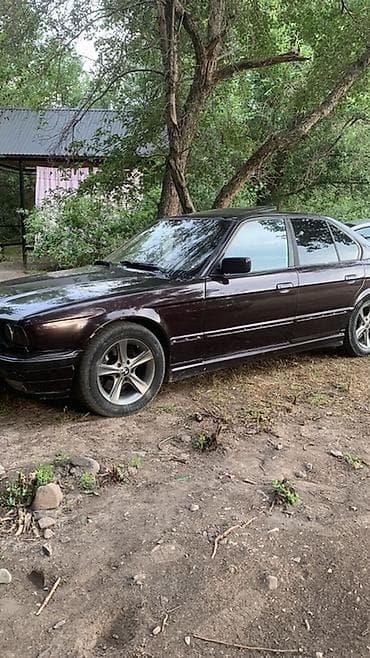 bmw e50: BMW 5 series: 1993 г., 2.5 л, Механика, Бензин, Седан — 5