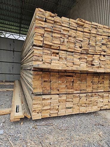 ковры в бишкеке: Хвоя — 2