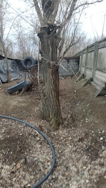 сверление бурение: Терек сатам алчуулар болсо жазкыла чалгыла — 7