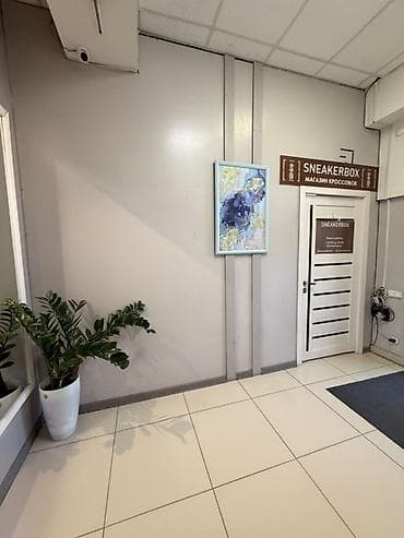 red centr: Юг-2 мкр Сдается помещение под офис, магазин или шоурум. - Площадь — 2