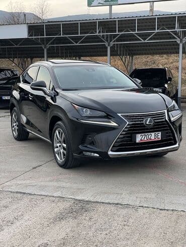 выкуп авто нексия: Lexus NX: 2019 г., 2 л, Автомат, Бензиновая, Кроссовер — 2