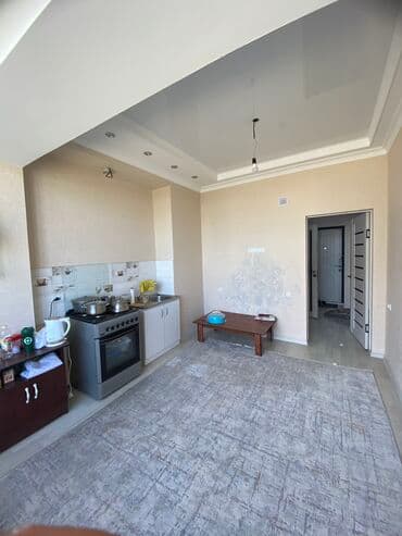 дом для гостей: 1 комната, 40 м², Элитка, 4 этаж, Евроремонт — 5